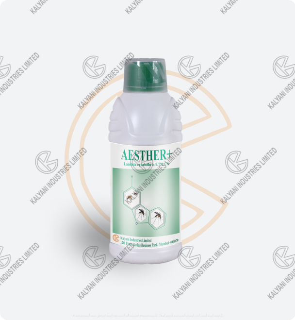 AESTHER+