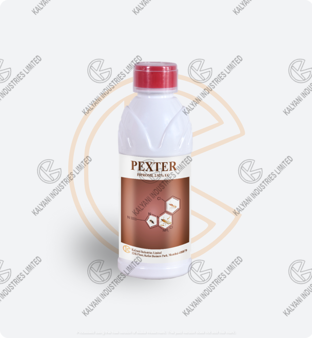 Pexter