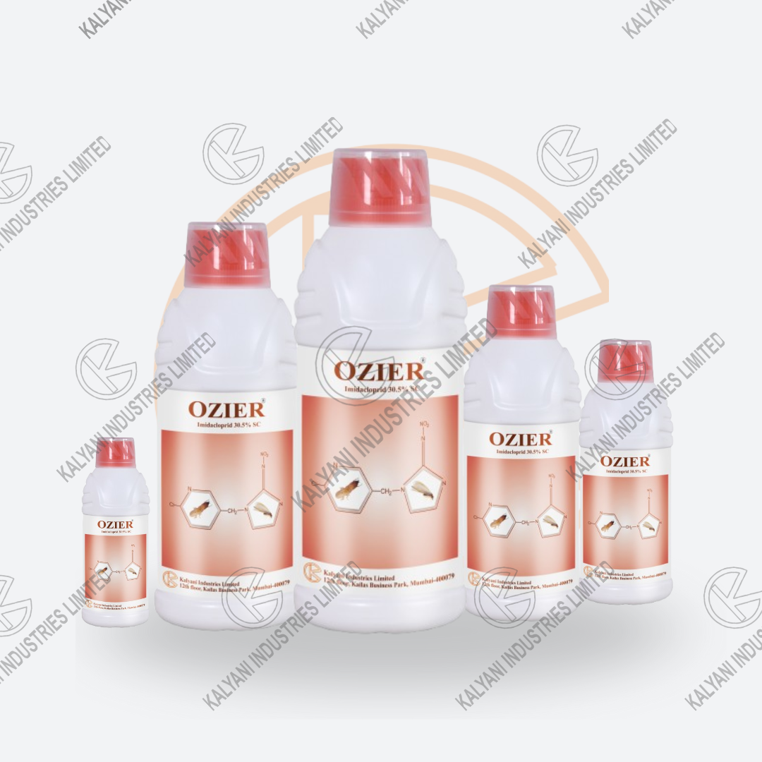 OZIER