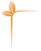 decoration